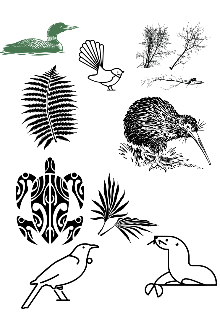 kiwiana
