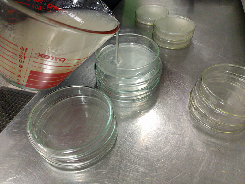 Agar pour